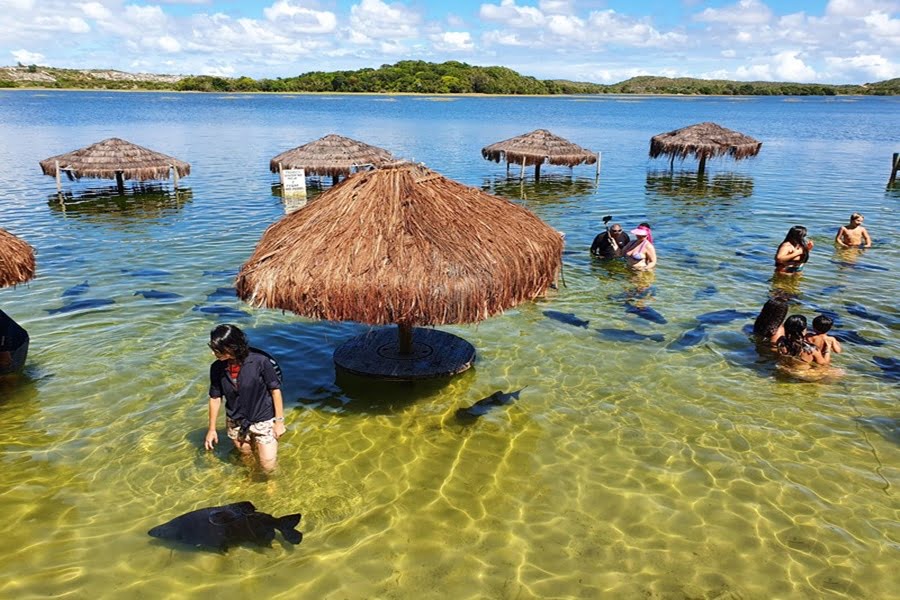 Desvende As Maravilhas Da Praia Do Saco E Lagoa Dos Tambaquis Em Sergipe: Um Roteiro Completo Para Sua Viagem Dos Sonhos 1